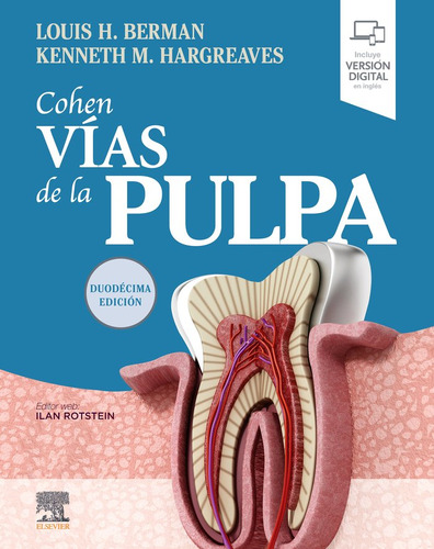 Cohen Vias De La Pulpa 12ªed - Aa,vv,