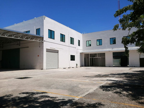 Local Comercial En Avenida Itzaes, Merida.