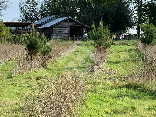 Sitio En Venta En Panguipulli Etchegaray