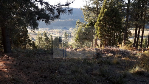 Imagen 9 de 10 de Vendo Lote En B° La Jauria, San Martin De Los Andes