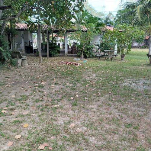 Imagem 13 de 14 de Vendo Mini-chácara Localizada Na Pavuna-ce