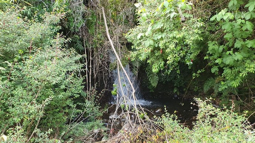 Imagen 4 de 16 de Sitio En Venta En Puerto Octay