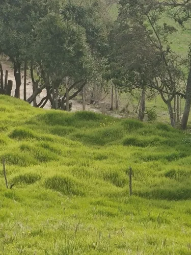 Venpermuto Terreno En Sibaté, Alto Charco