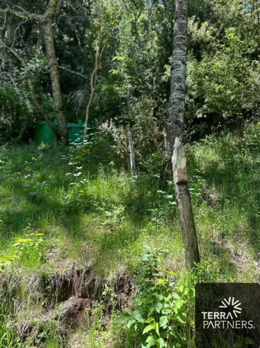 2 Parcelas En Venta De 10.570 M2 En Renahue Acceso Al Lago