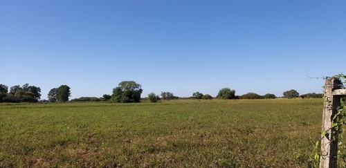 Imagen 13 de 15 de Santa Bárbara, Loteo íntimo, Colonia Benitez