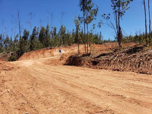 Imagen 10 de 13 de Parcelas Copiulemu Ruta 146 Km 27
