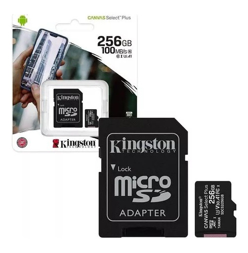 Memoria Micro Sd De 256gb 