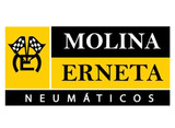 Molina Erneta