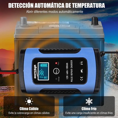 Imagen 4 de 8 de Cargador Rápido Para Batería De Coche 12v