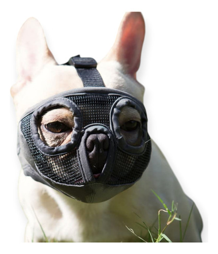 Bozal Para Perro Braquicefalos Bulldog Frances, Pug Talla M