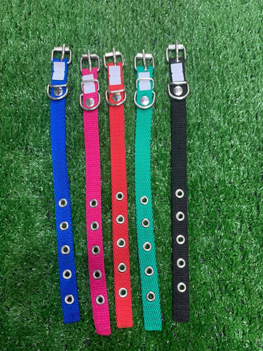 Collar De Lona Para Perros Y Gatos T0