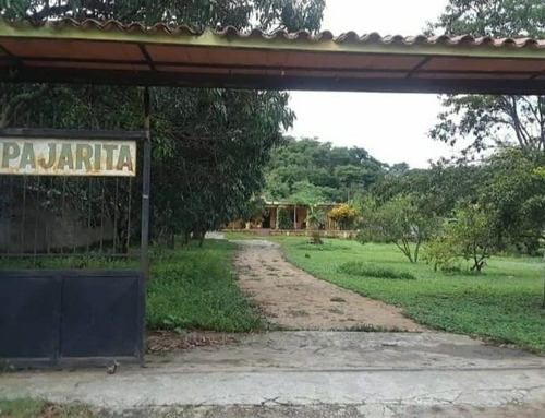 Imagen 16 de 16 de Se Vende Finca En El Polvero San Diego