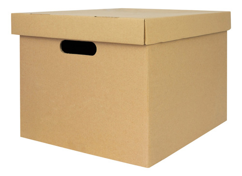 Caja Archivo Americana Carton Reforzada 42x32x25 Con Tapa