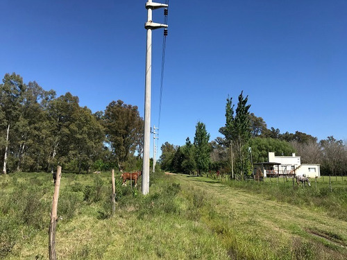 Imagen 9 de 12 de Terreno En Venta En San Antonio De Areco