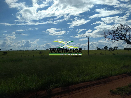 Oportunidade Chácara À Venda Uberlândia 20.000 M² Por R$ 130.000, Financia - 394