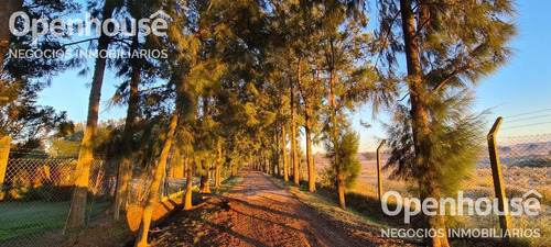 Imagen 4 de 8 de Venta De Lote Central Sobre Calle Principal En Parque Irizar