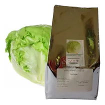 Comprar Semilla De Lechuga Great Lakes - Bolsa De 1 Libra