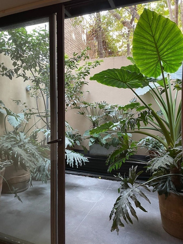 Increíble Garden House En Renta En Polanco