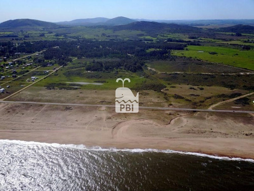 Imagen 8 de 9 de Chacra En Venta Punta Negra - Ref : Pbi589
