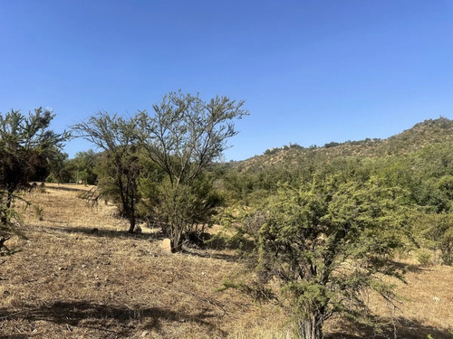 Valle Escondido / Sitio Casi Plano / Visitas
