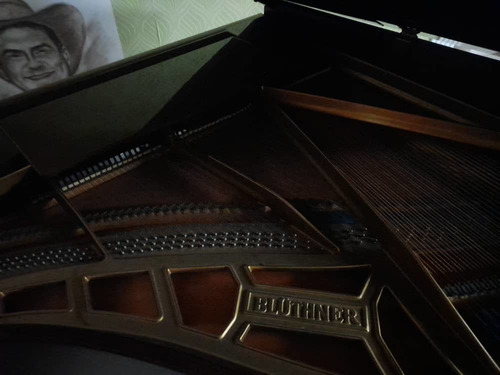 Imagen 3 de 5 de Piano Blüthner 1/4 De Cola