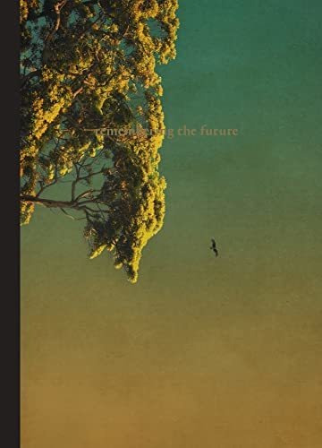 Book : Albarran Cabrera Remembering The Future (assorted) -