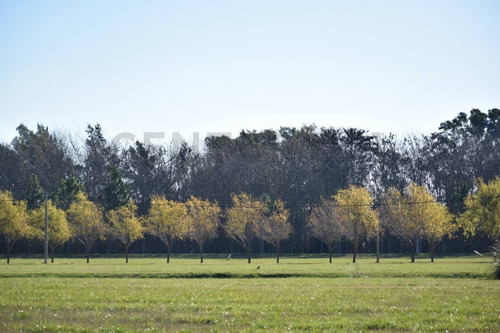 Imagen 5 de 23 de Lote En Venta En Barrio Campos De Roca Ii