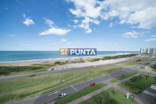 Imagen 5 de 13 de Apartamento En Venta - Brava