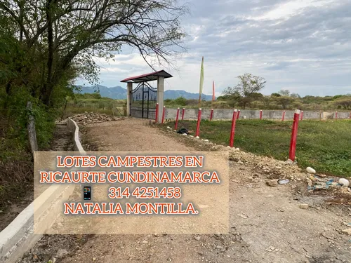 Venta De Lotes Planos En Ricaurte Cundinamarca.