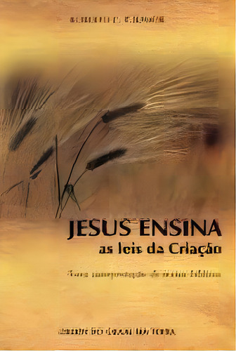 Jesus Ensina As Leis Da Criacao, De Puccinelli Junior. Editora Ordem Do Graal Na Terra, Capa Mole, Edição 1 Em Português, 2006
