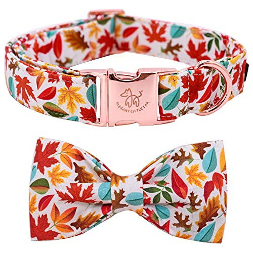 Elegante Collar De Perro De Otoño, Collar De Perro Macho O 