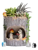 Comprar Macetas Suculentas Plantas Maceta Macetas De Animales Lindos