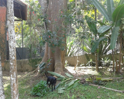 Imagem 27 de 30 de Sitio À Venda Em Juquitiba - 203 - 32982624