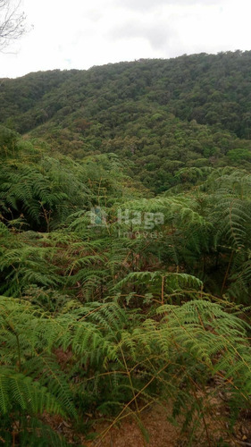Imagem 3 de 14 de Chácara À Venda No Bairro Pomerânia - Guabiruba/sc - 2329c