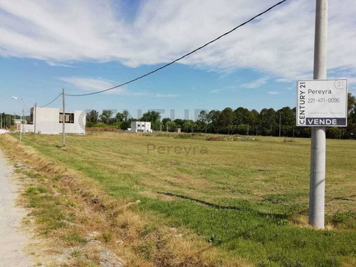 Imagen 28 de 30 de 147 Y 486 Lote En Venta, En Fincas Gorina.-