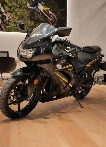 Imagen 4 de 8 de Kawasaki Ninja 250