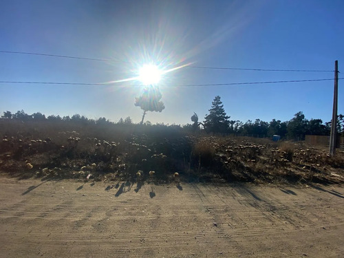 Se Vende Parcela De 1ha En El Sector Malvilla, San Antonio