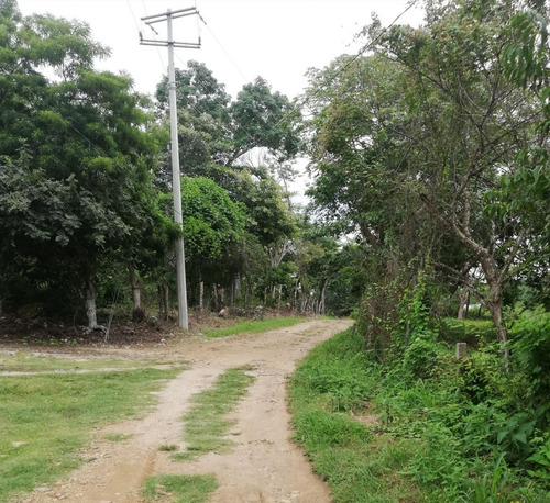 Se Venden 5,000 Mts2 En El Jobo