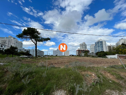 Imagen 8 de 8 de Impresionante Terreno De 4857m2 Para La Venta - Punta Del Este Brava