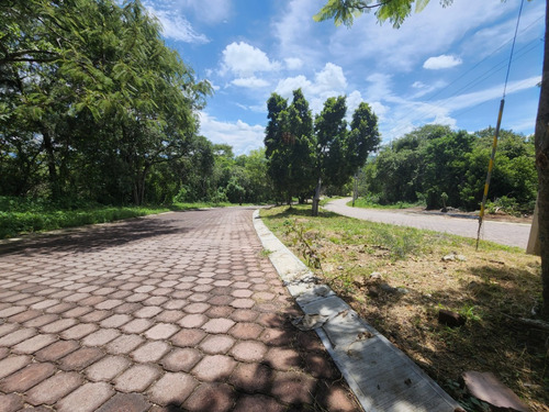 Venta Lote San Diego 56 Sobre Avenida Principal Y Cercanía A Las Amenidades Del Fracc Rancho San Diego Ixtapan De La Sal Edomex