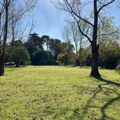 Imagen 11 de 15 de Lote En Arana En Venta De 2560 Mtrs .calle 636 Y 16 Con Hermosa Forestación
