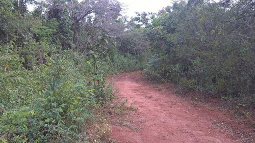 Imagem 5 de 15 de Terreno Para Venda Em Esmeraldas, Ipê Amarelo - T01_1-1005664