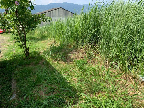 Imagem 3 de 15 de Terreno Para Venda Em Rio De Janeiro, Campo Grande - Rv110_2-1116856