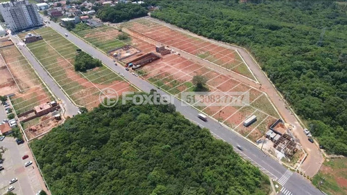 Imagem 5 de 7 de Terreno, 300 M², Igara - 218784