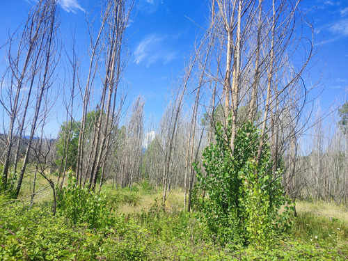 Venta De Terreno Agricola En Santa Juana