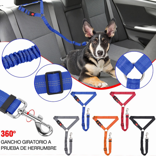 Cinturón Seguridad Para Perro Gato En Auto Mascota- Viajes