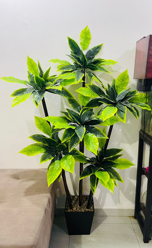 Planta Artificial Arbol De Hoja Grande Con Maceta De 1.70m