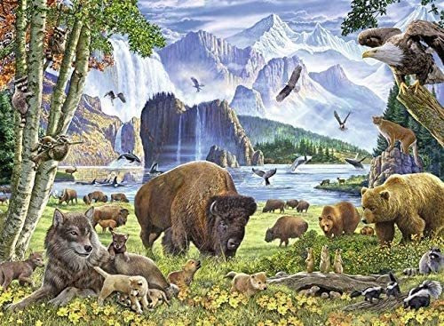 Ravensburger Great Outdoors Puzzle Series: North American Na