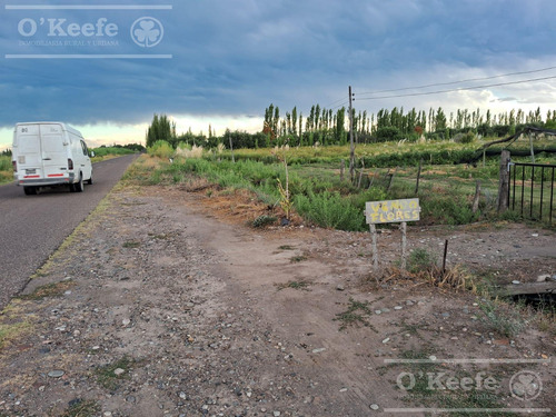 Oportunidad Venta De 2 Fincas Aledañas En Cañada Seca , San Rafael , Mendoza. Frutihorticola, Forrajes, Turismo,