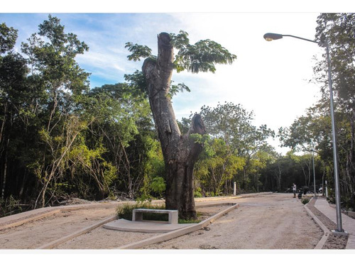 Terreno En Venta En Tulum - Pueblo Zona Veleta